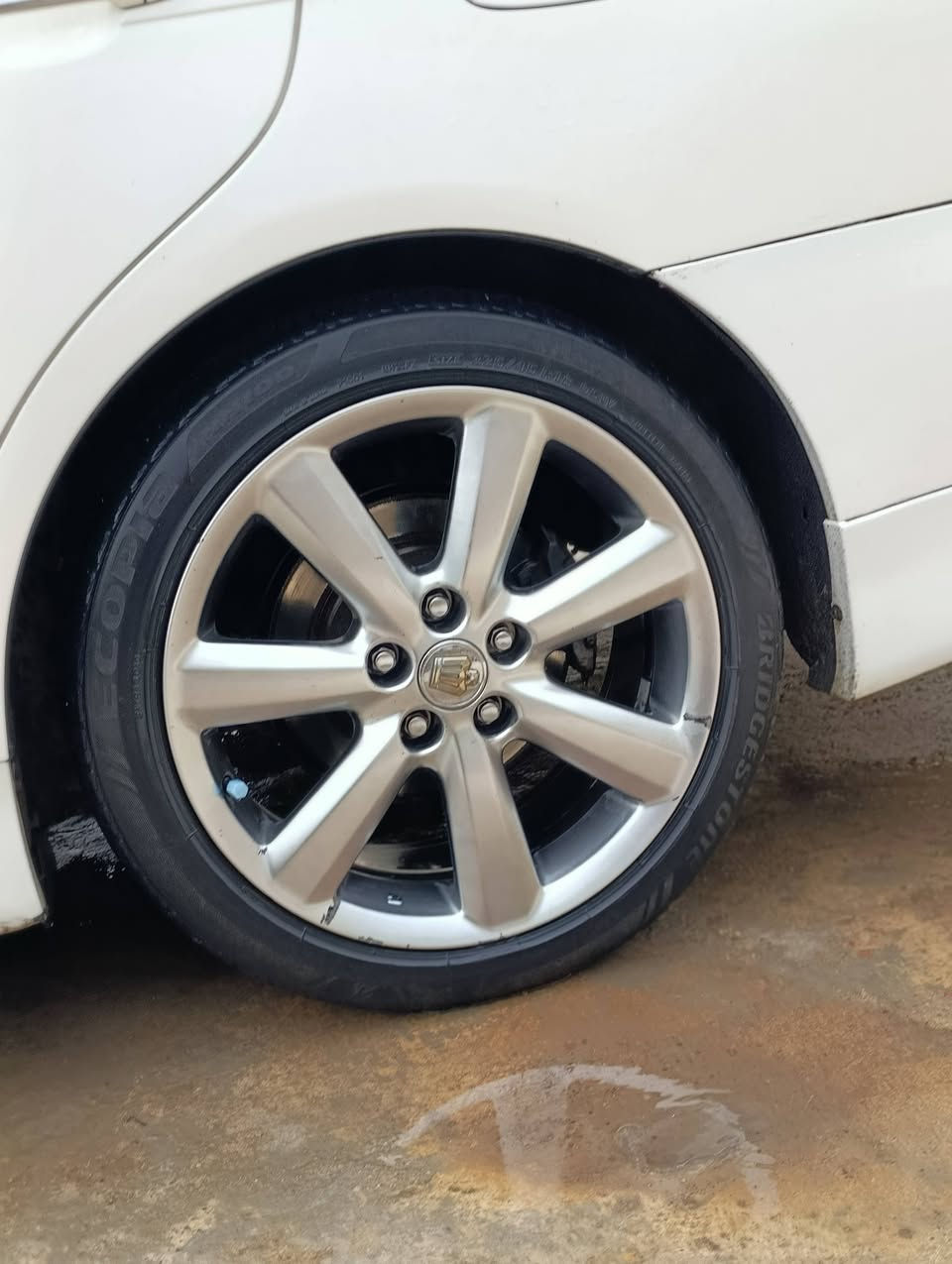 چوار ویلی دینگەی شاز  جوان🎁
بۆگۆرینەوە بە شتێ بە دڵم بێت 🌹


**إذا كنت صاحب هذا الإعلان وتريد حذفه لأي سبب، رجاءا أرسل رسالة إلى الدعم الفني**