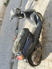 منغولي • نواقص بسيطة • شاصي