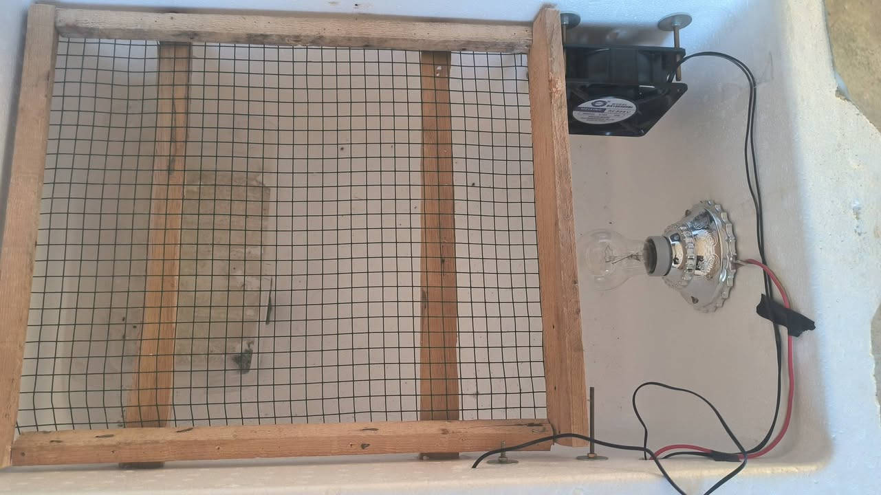 السلام عليكم متاح فقاسه للبيع سعر 75 رقم الهاتف***********
