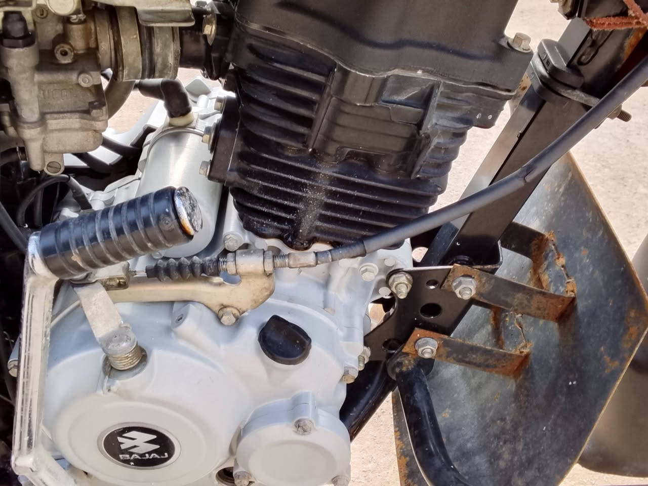 دراجه ابوكسر جديده مديل 23البيع لعنوان البصراء دير منطقه النشواء مجود وتساب *********** ملاحضه رقم وسنويه بسمي سنويه لحد 28تنتي ليريد خاص مفتوح سعر علخاص حياكم الله
