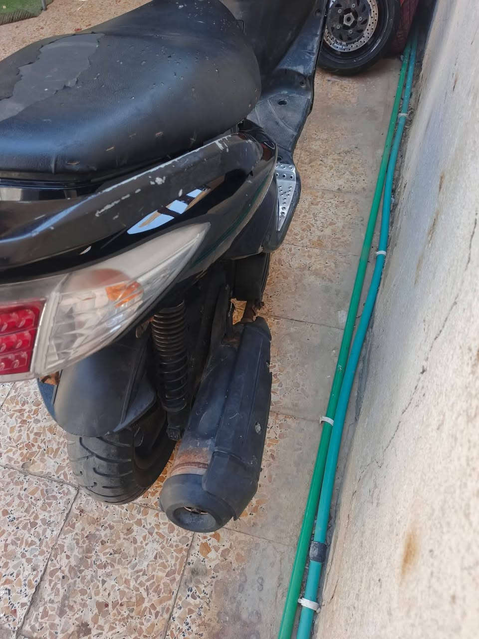 سلام عليكم سكنس فحل للبيع متوازي كلش علا بيعتها نوزل بلادي مو كابريتر دراجة شرط شلعة ول معدل سعر250قفل قفل
سلام عليكم سكنس فحل للبيع متوازي كلش علا بيعتها نوزل بلادي مو كابريتر دراجة شرط شلعة ول معدل سعر250قفل قفل 
مكاني كوت -زويرجات -قرب مركز شباب
رقمي ***********
