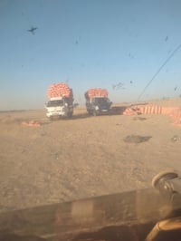 تبن • شليف ٦٠ترس • توصيل لكل المحافظات