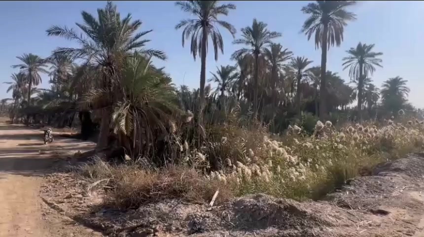 بستان مساحتة 760م
يحتوي على نخل و أشجار

يصلح يكون منتجع
على نهر مباشر

موقعة بالسديناوية منطقة أم محكروص خلف جسر ال ديبس

للاستفسار *********** يتوفر واتساب

https://chat.whatsapp.com/DAUdXFm5YqX38v3lRTvPuk
