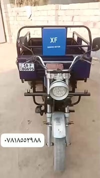 ستوته • للبيع • ديوانية قضاء الدغارة