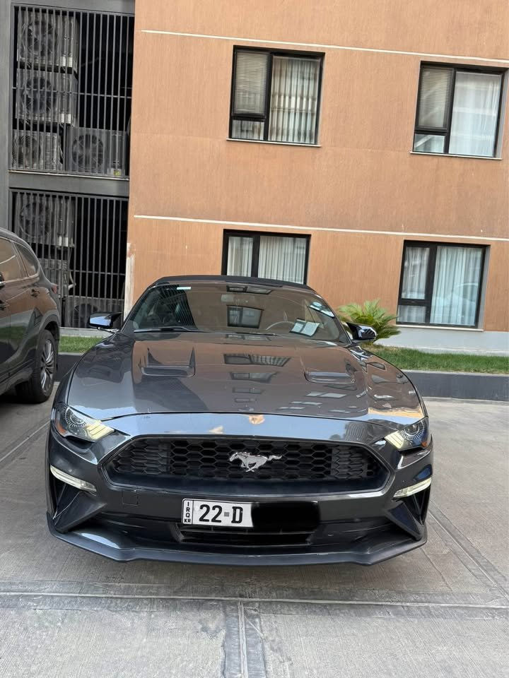 للبيع فور موستنك 
الموديل: 2019
الضرر: حادث جانبي جمالغ سكن وباب سكن وربع جاملغ خلفي صبغ بدون دواخل بدون ارباك
مكينة وكير بشرط
ممشى السيارة 78 الف مايل
سنوية باسمي تحويل او وكالة بشرط
عنواني اربيل 
السعر: 134 وبي مجال بسيط
واتس:
*********** أربيل, العراق
