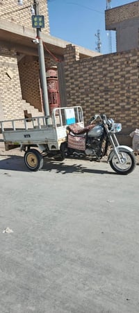 ستوته • ٢٠٠٦ • بدون راعي