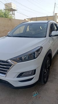 توكسان • ٢٠٢٠ • اربيل