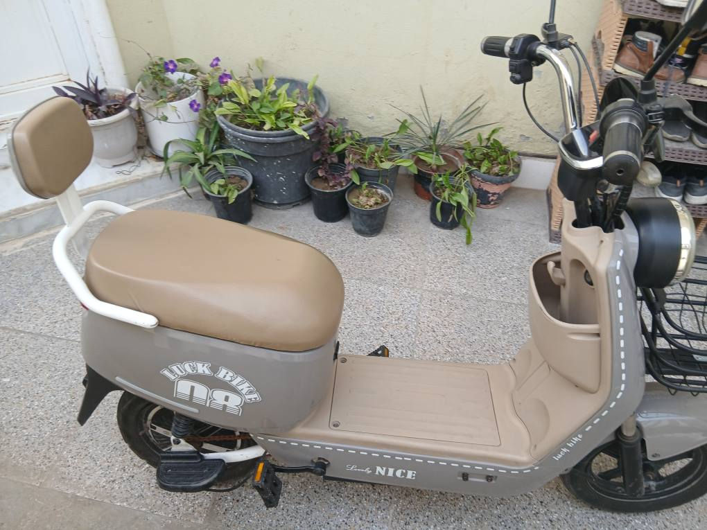 دراجه شحن سعر 300 قفل متواجد في حي جهاد مخابرات.     بغداد بغداد, العراق


**إذا كنت صاحب هذا الإعلان وتريد حذفه لأي سبب، رجاءا أرسل رسالة إلى الدعم الفني**