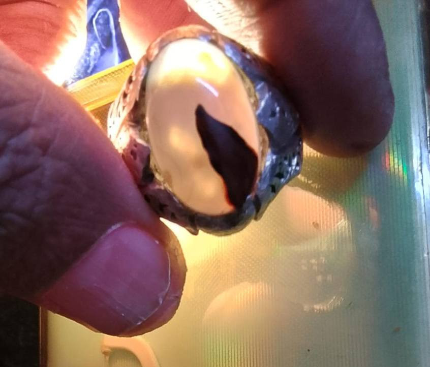 السلامه عليكم .. من رخصة الادمن .. اراوس في خواتم .. زفير او ياقوت افريقي ويشم مخطوك حفر واوبال اي خاتم منهن  اراوس خاتم بخاتم او بيع ابعهن  تواصل على رقمي .
*********** 
مدينه الصدر
