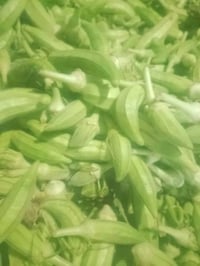 بامية • بانيه • خضروات • طبخ • مأكولات