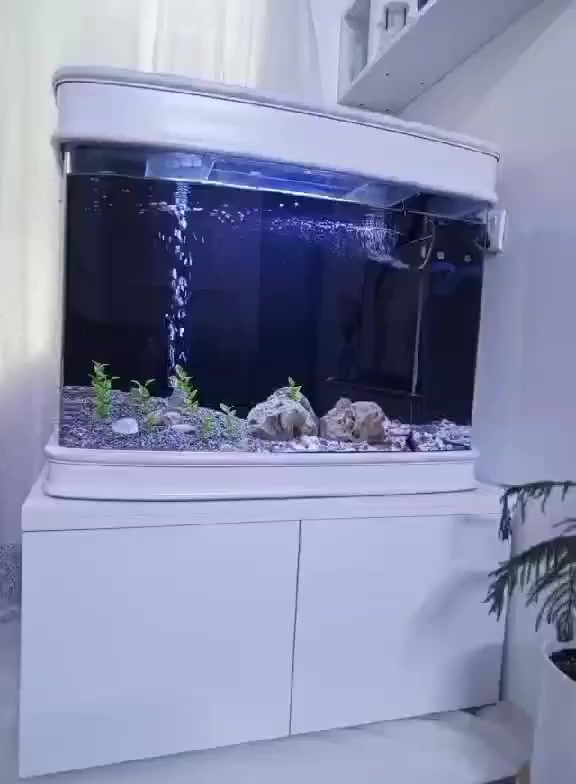 حەوزی ماسی بەکاملی دەسکردە
سلێمانی


**إذا كنت صاحب هذا الإعلان وتريد حذفه لأي سبب، رجاءا أرسل رسالة إلى الدعم الفني**