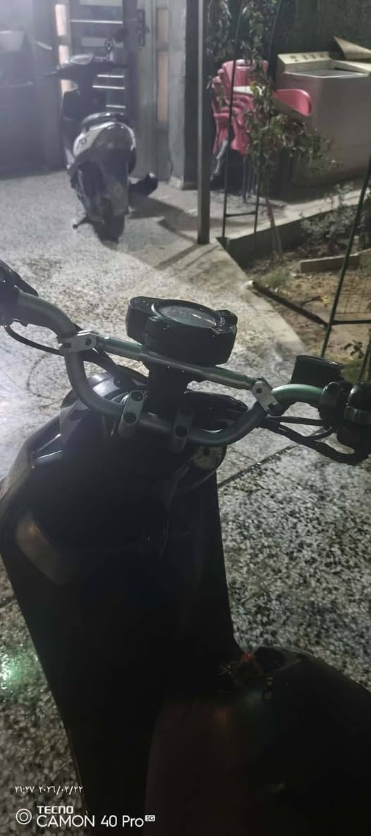 مراوس بسكنس فحل نوزل ناشفه ***********
