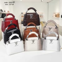 LV ماستر • طبق الاورجينال • ٢١×١٤