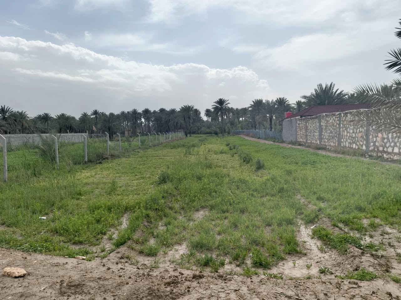 يا الله سلام عليكم
#ارض زراعيه للبيع 
المساحه ٣الاف متر  كما موضح ب الصور 
#سند ٢٥ تحويل مباشر ب اسمك
الارض دولار يعني تبقيه شهر تصعد فوك سعره 
#متوفر جميع الخدمات ماء  كهرباء مولدة شارع 
الموقع/شارع ١٠٠الرابط بزل حجي علي تبعد عن شارع ١٠٠ 
العام ١٠٠ متر 
للاستفسار اكثر اتصل على الرقم وبخدمتك‪‏‪0787 689 2247‬‏
