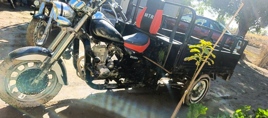 ستوته للبيع كلك
مكفول من كلش مكاني مشخاب 
رقمي ***********
