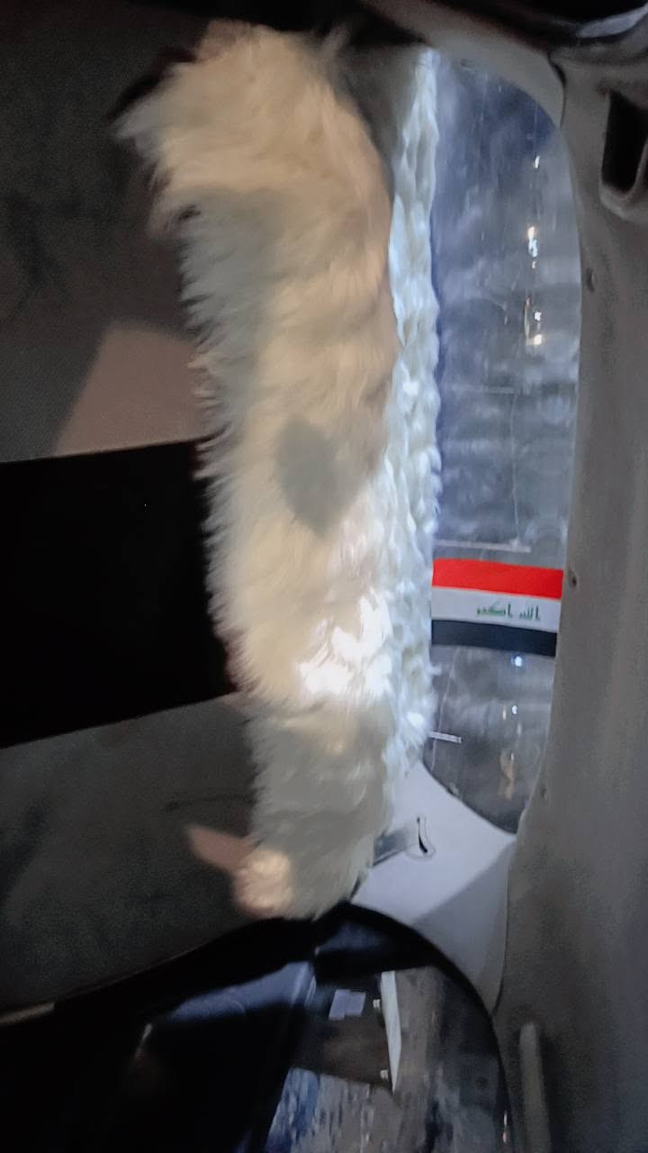 سلام عليكم سياره للبيع دايو محرك كورلا مكينه شرط جديده كير حداده خير من الله سنويه السبعه ٢٧راعيه يمي يريد تحويل مكاني البصره قضاء الزبير مقابل التفصيخ البدو ***********هاذ رقمي الشراي السعر 28وبيه مجال بصيط
