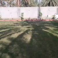 طابو ملك صرف • ١٠٠م • سلمان باك باوي