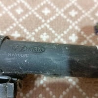 شجرة نوزلات • سيدونه • موهافي