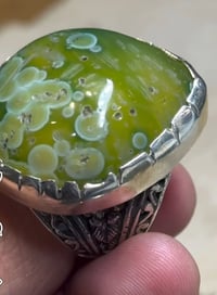 سليماني • خضر • قياس 25