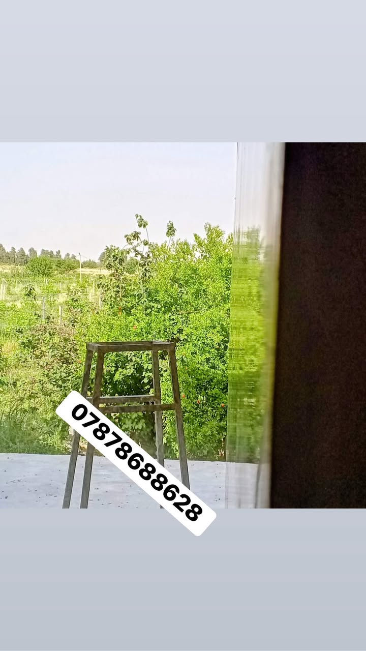 كادر لبخ جص منل موصل شقل درجه والى شرط انطيك حايط جام وعداله كلو مساطر  البيت يطول 3ايام كادري متكون من 4اسطوات و 4عمال الشقلو جاهز او لم يجهز يتصل ونشاء الله مانقصر معا الكل متفرق حاليأهاي جزء من عملي ومن الله التوفيق 💖
