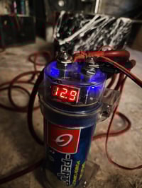 كبستر • جدلة خميلة • بزرقاء