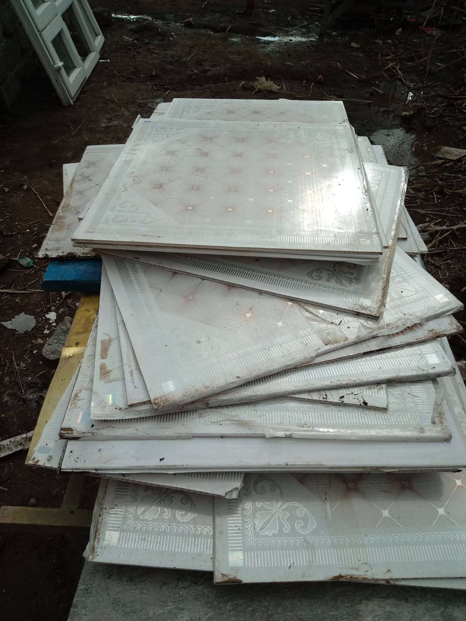 للبيع شلع سقف تنوي  ٣×٦  سعر  ٢٥ الف
استفسار   ***********
