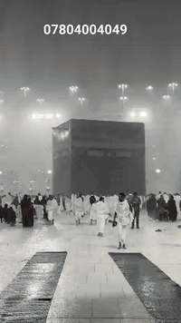 تعلن شركة نخل السماوة لنقل المسافرين 

عن رحلتها إلى بيت الله 14/1/2025

*رجــــــب وشـــعبان*

*الاهم من هذا كله أن عمرتك تكون بإشراف مرشد ديني متخصص لكي تضمن براءة الذمة وتعود إلى اهلك وقد اتممت عمرتك بالصورة الشرعية 👳🏼‍♂️👳🏼‍♂️👳🏼‍♂️*

يشمل البرنامج

1- باص حديث ومكيف 🇸🇦🇮🇶

2- فنادق اربع نجوم حقيقي مكه 🏨

3- مزارات مكه والمدينه🕌🕋

4- مرشد مختص يرافق المعتمرين الحاج حازم العامري معتمد سيد على السستاني👳🏼‍♂️

5- احرام رجالي جادر نسائى

6- ثلاث وجبات طعام داخل الفندق🍱 

7- حقيبتين محموله ويدويه🧳💼

8- مدة الرحله 12 يوم🌓⭐️

9- مدينه المنوره 4 ايام 🌑

10- مكه المكرمة 7 ايام 🌑🤲

11- سجاده صلاه سبحه تربه معصم

12- رحله ختياريه الى جده 🛥️🚤🛳️🚢
850 مع  ثلاث وجبات طعام
*********** واتساب او اتصال
*********** اتصال او وتساب 
العنوان سماوه شارع العام قرب ملعب السماوه مجاور فوج طوارئ الشرطه
