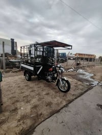 ستوته • ٢٠٢٠ • مسجله