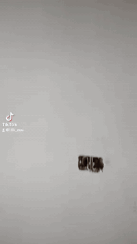 سلام عليكم ابياض جص وبورك المتر اب 6000الاف هاذا الرقم وادللو بغداد خادم اني *********** 📞***********
