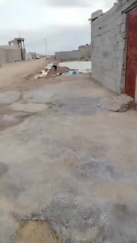 تنومه نهر حسن • ٢٢٠م • زراعي سند ١١٧