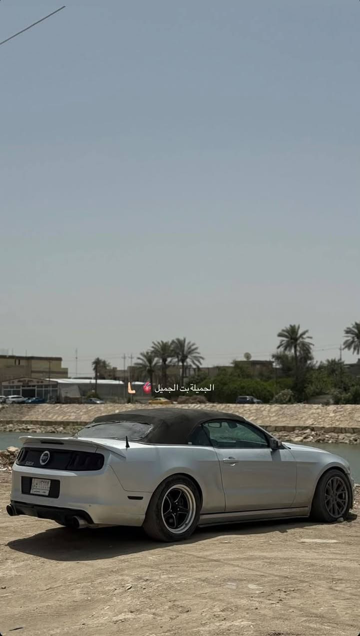 نوع السياره موستنك GT V6
الون سلفر السياره ضربتين بيهاا جاملغ ول بانيد امبدل مال شيلبي 
السياره بدون دواخل تعجبك تعال كلبهاا وشفهاا اذا جاد تعال خاص ***********واتساب بي مكانهاا حله السعر 115
