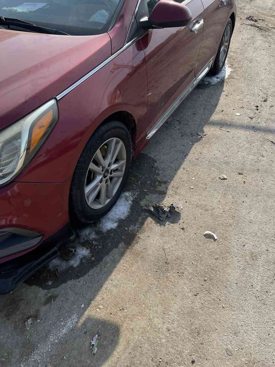 سوناتا لبيع او مراوس بعد افضل  كفاله عامه من دعاميه لذعاميه  دبل كزوز. كشن كهرباي  اشاير بل مري كشفات  بلاجكتورات جنطه ذكيه موصفات سبورت  شاشه  غرفه جديده تخبل  سياره نضيفه احله من الصوره مكان كربلاء رقم كربلاء. مكينه جي دي اي سياره امريكي وارد كوري  فدوه اقره منشور ولا تكلي شبيه مابيه كلشي ذكرت بل منشور   والسياره تروحلكم فدوه


**إذا كنت صاحب هذا الإعلان وتريد حذفه لأي سبب، رجاءا أرسل رسالة إلى الدعم الفني**