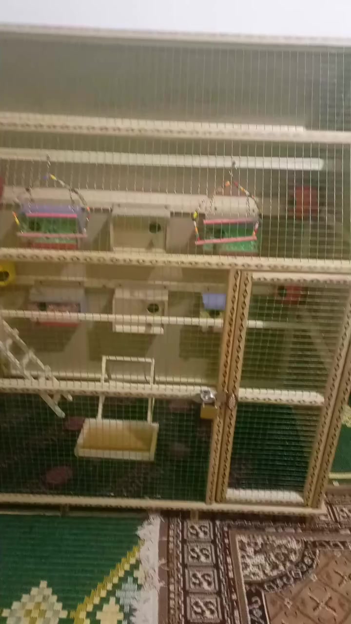 السلام عليكم متاح قفص حطاطة الطول 120الارتفاع 150والعرض 60فصال جديد جاهز من كلشي حتة الإنارة السعر 100المكان القائم والشراي يتفضل ***********
