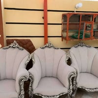 تخم رئاسي للبيع مكفول من كلشي للأستفسار خاص او الاتصال ٠٧٧٦٤١٧٧٩٤١