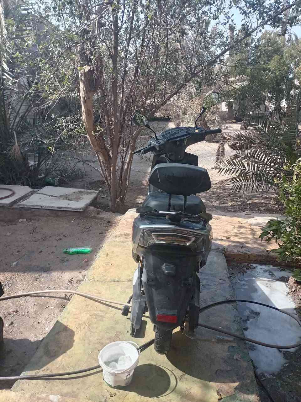 سلام عليكم دراجه شحن اسمها Yadea RN
صار شهر من اشتريتها ومبين شكد ماشيه
6 بطاريات ومفتااحين وبصمتين بيها سرعتين تمشيك 45k سعرها 750 عنواني ابو الخصيب
*********** واتساب فقط
مستعجل ع بيعتها بيها مجال حك الجيه
