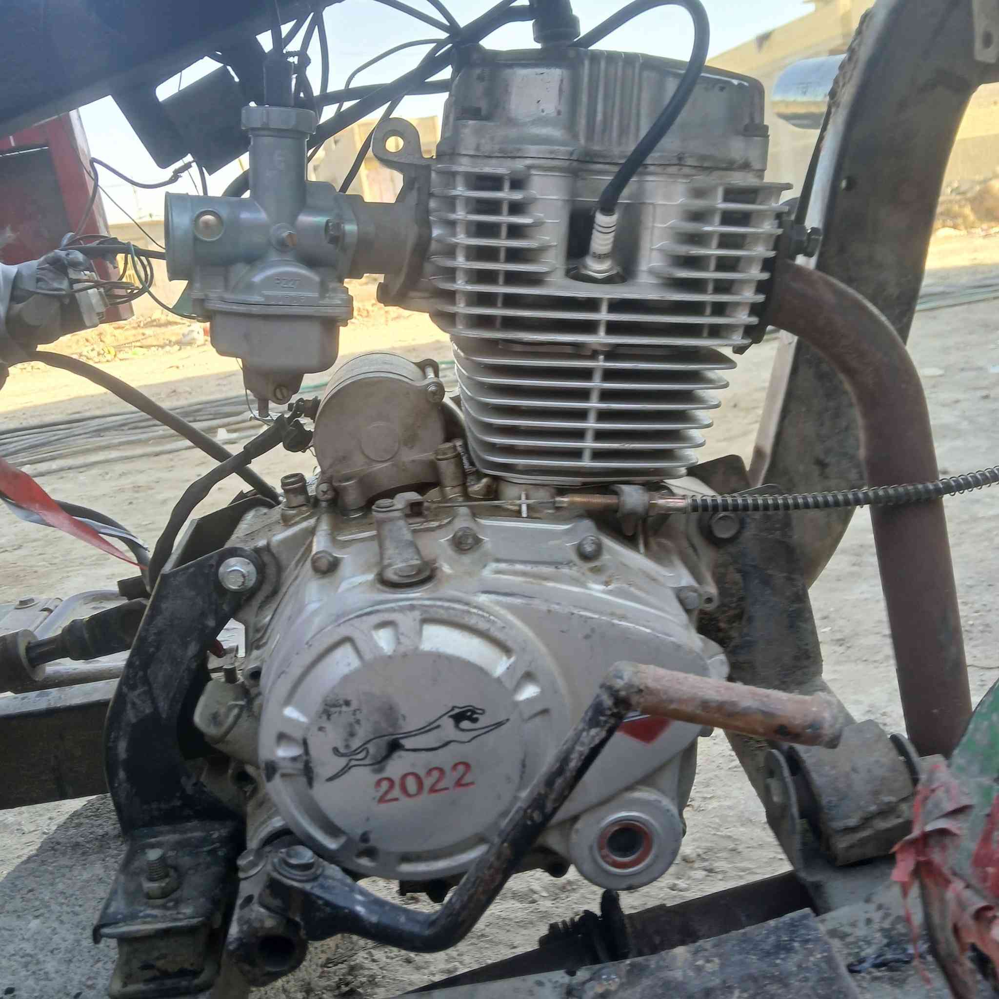 الرقم ***********
