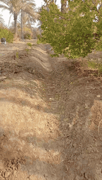 متوفر كادر كامل
شغل كرك اي واحد عنده بستان اي شي موجود 

***********وبي وتساب
