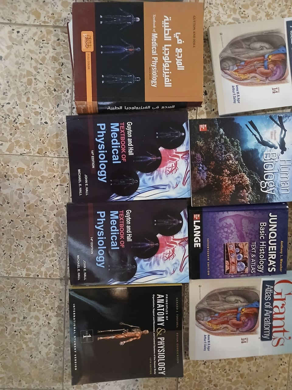 كتب طبية للبيع للتواصل عالخاص


**إذا كنت صاحب هذا الإعلان وتريد حذفه لأي سبب، رجاءا أرسل رسالة إلى الدعم الفني**