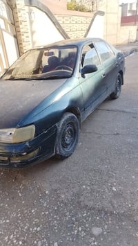 فرخ بطه • رقم نينوى • وكاله عامه