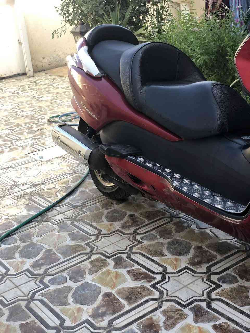 شبابنا الطيبه السلام عليكم

1_ فورزا صفر 8 كير شغال 4تحويلات 7 كير المرغوب  شرط مكينه اتفرها العراق اذا مفتوحه ترجع جويتر ✅

عايزها مسجل سماعات كامله ✅

3_ كيج حماوه_ بانزين اشاير لايت عالي ناصي  تزويد دوسات نيكل وقبق كلجات وصلانصه وياله ذهبيه استيرن نيكل فقط ✅

4_ استاند حساس تحريكه ومعدل خير من الله ✅

5_ كلجات منتهيه تايرات دبلات دراجه نضيفه كما موضح✅

6_جاهزه اوارق كامله اسويج طوارئ ما تصرف ربع عده اكلجات خلفيه منتهيه وعلى كلامي مبارك ع ياخذها✅

7_ المكان سامراء ✅

8 ما عجبك لا تعلق ولا طب خاص تحياتي 🤍         ✅

9_ السعر 900 وبيه مجال تعال عامل وخذه مبارك


**إذا كنت صاحب هذا الإعلان وتريد حذفه لأي سبب، رجاءا أرسل رسالة إلى الدعم الفني**