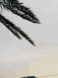 كيا بريجو موديل ٩٧
رقم كربلا الماني  راعيه بكربلا ايريد امداور
 مكينه كير اكسن خير من الله حداديه نص عمر
 مصبوغه احزام  بلا معجون عده الربع
 سنويه نافذه ب٢٠١٩ 
عليها غرامه ٤ اوراق ينگطعن من السعر
  السعر 55 الستفسار اكثر  ع الرقم 
***********
مكلف بالنشر
