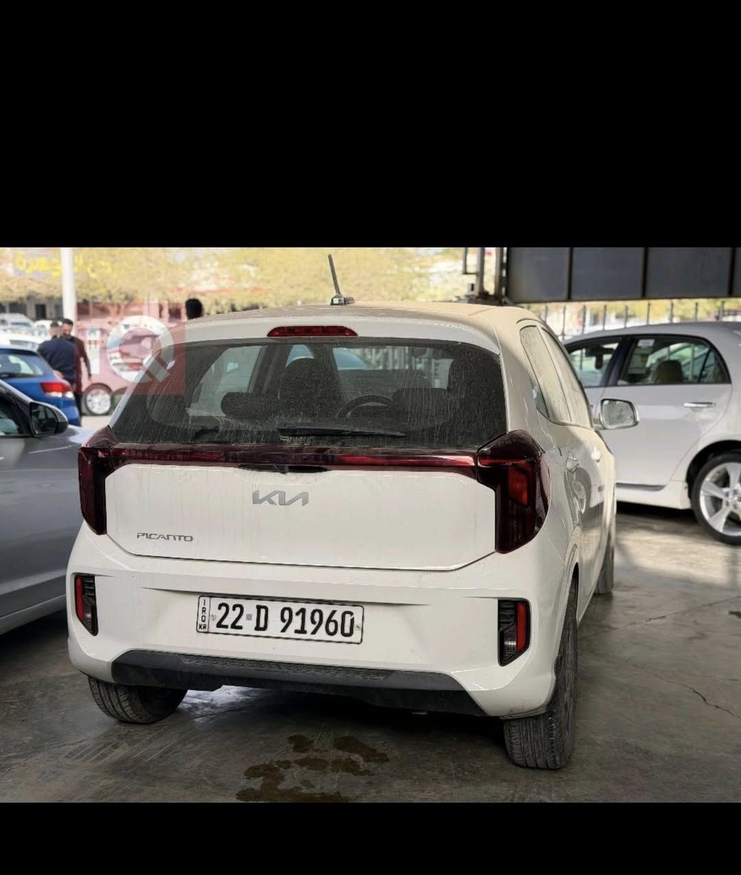 🚗 للبيع: كيا بيكانتو 2024 فول مواصفات
السيارة بحالة الوكالة (زيرو تقريباً)  

ماشية فقط 4000 كم  

✔️ فول اوبشن  

بصمة

دبل سويج

شاشة كبيرة 

 عدادات ديجيتل

المحرك المرغوب

ومواصفات هواية بيها السيارة 

✔️ نظيفة جداً بدون أي ملاحظات  مكفولة كفالة عامة من كلشي 

✔️ استخدام خفيف جدا 

فرصة ممتازة للي يدور سيارة جديدة بسعر أقل من الوكالة 

مرقمة اربيل الرقم المرغوب

 سعرها 140 وبيه مجال

مكان السيارة كركوك

رقم التواصل  على الواتساب / ***********
