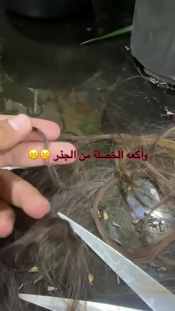 عندج سكس دي او روله او شعر مكصوص او كوكيز وتردي اكستينشن تواصلي واتساب ع الرقم ***********
