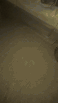 الله يجفيكم شر الحوادث جيب موديل 1996 رقم بغداد بأسمي كير ومحرك vvt 30...