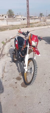 قفاز • موديل ٢٠٢٠ • مراوس