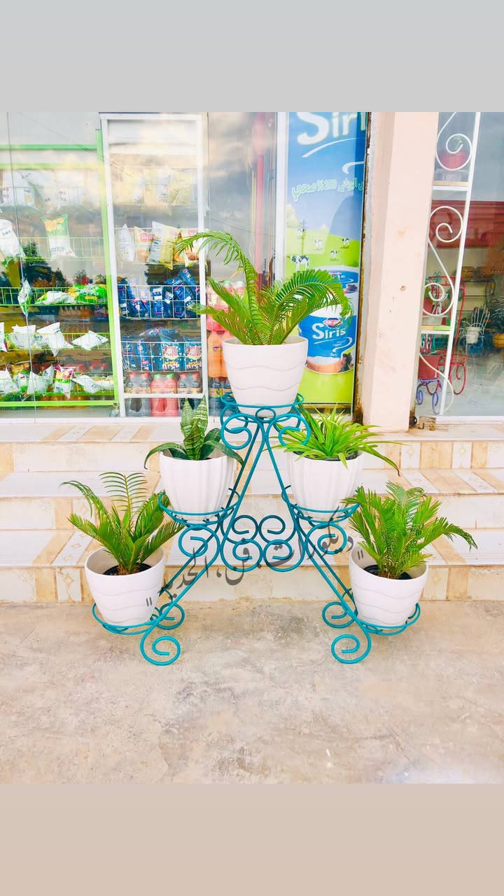 نقدم لكم مجموعة مميزة من استاندات الورد بتصاميم  متنوعة، جميلة، وجذابة تضيف أناقة خاصة لأي مكان.

✔️ عمل يدوي متقن
✔️ مصنوعة من أفضل أنواع الحديد القوي والمتين
✔️ تصاميم عصرية وكلاسيكية تناسب جميع الأذواق
✔️ مثالية للمنزل، الحديقة، الشرفات، والمشاريع

اجعل نباتاتك تتألق بطريقة أنيقة وفريدة 🌺
جودة عالية – تصميم رائع – سعر مناسب

📩 للحجز والاستفسار تواصل معنا الآن.


**إذا كنت صاحب هذا الإعلان وتريد حذفه لأي سبب، رجاءا أرسل رسالة إلى الدعم الفني**