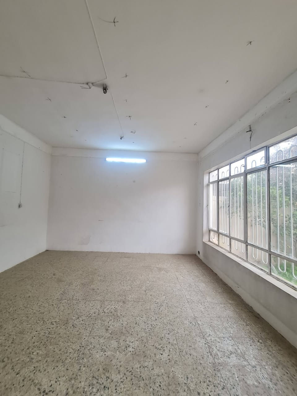 للأيجار الدار الطابق واحد🏠(المساحة200م)

الموقع الدار/حي الصديق الاولى قرب مسجد محمد رسول الله

طابق واحد/غرفتين نوم وهول واستقبال واسعة ومطبخ وصحيات وسرداب كمخزن وبيتونة وسطح وكراج 

(بدل ايجار الدار 450الف)

للأستفسار مراجعة مع مكتب الوطن للتجارة العقارات  
العنوان الموصل مدخل حي الصديق قرب جامع الباري 

أو الاتصال على الارقام التالية 
كؤرك/*********** 
أسيا /***********
