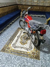 مكفوله • ٢٠٢٤ • سده الهندية