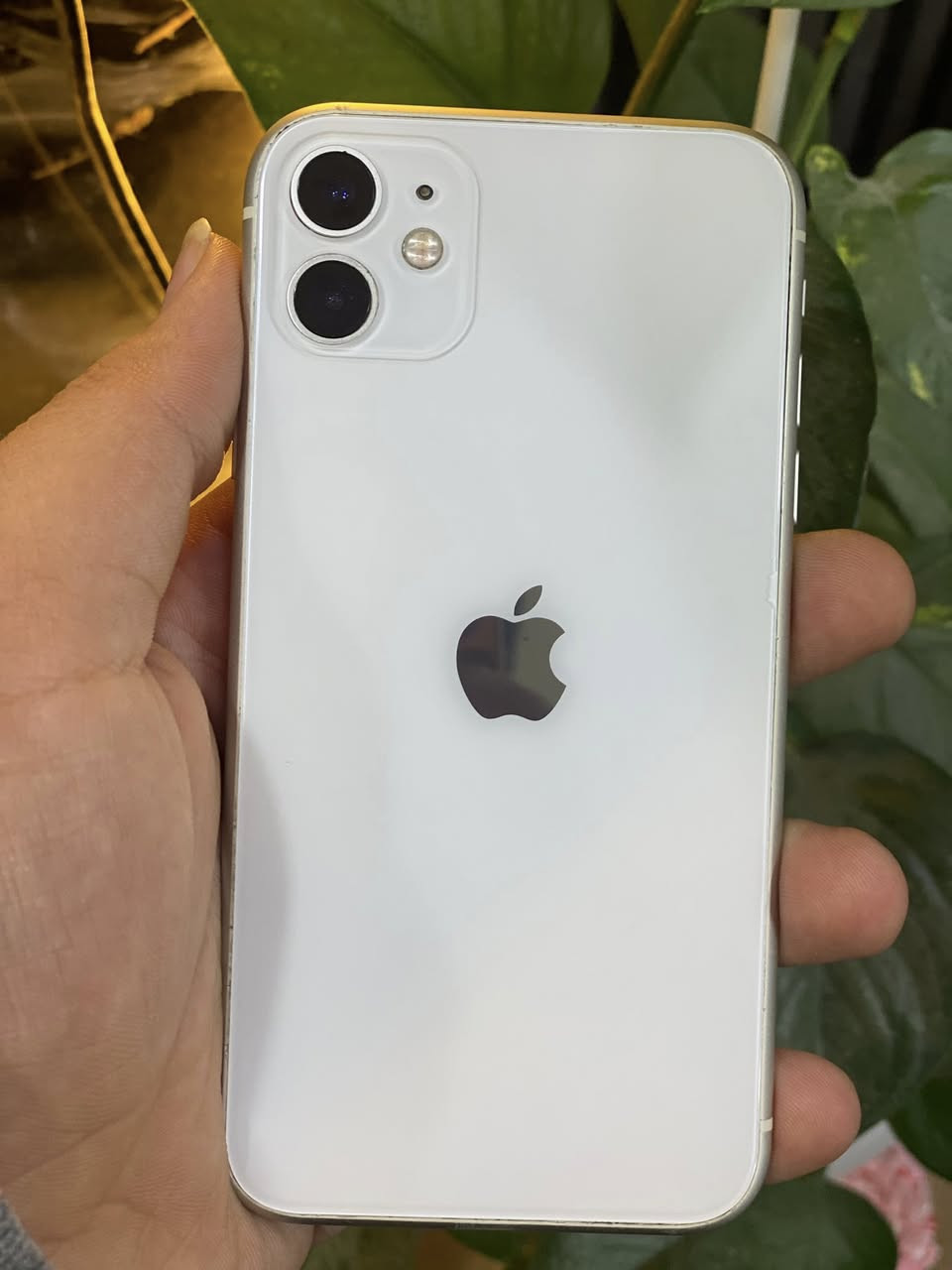 سلام عليكم
iPhone 11
ذاكره 128
بطاريه 79
مبدل شاشه فقط 
فيس إيدي ينراد برمجة 
دبل سيم 
جهاز نضيف كدام العين 
استفسار اكثر اتصل 
*********** واتساب
مكاني موصل ايسر
