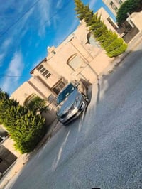 هايبرد • 2013 • وارد امريكي